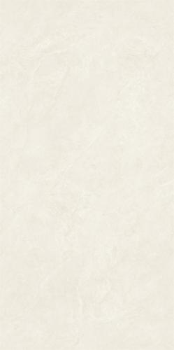 LTB612042白玉兰-4