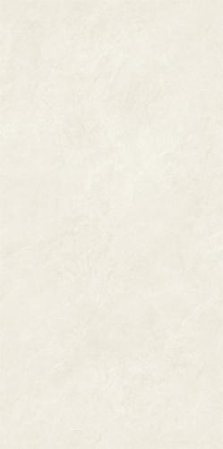 LTB612042白玉兰-3